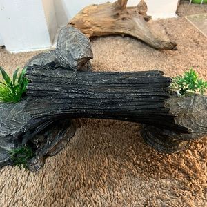 Reptile decor